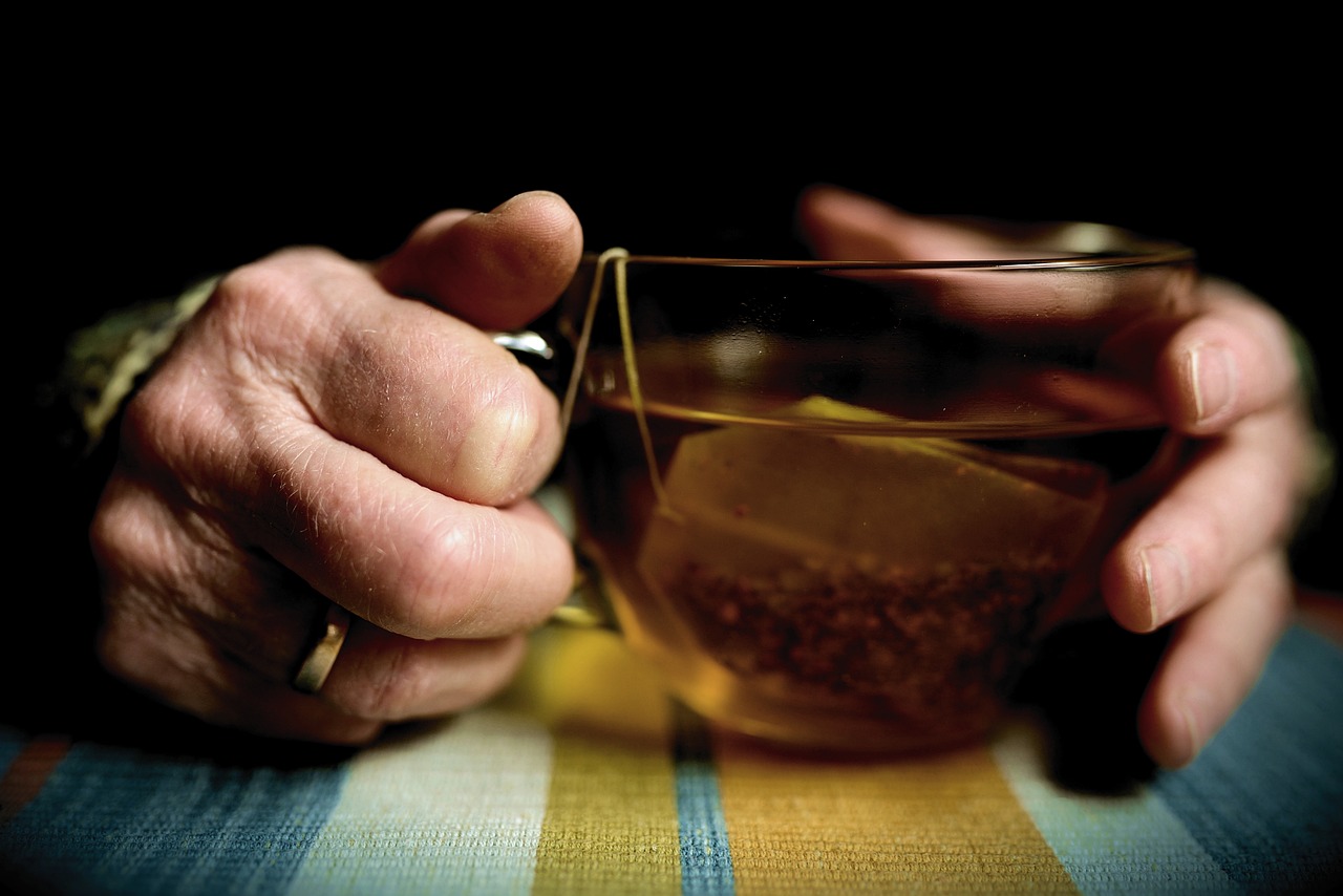 The Philosophy and Science of Human Aging